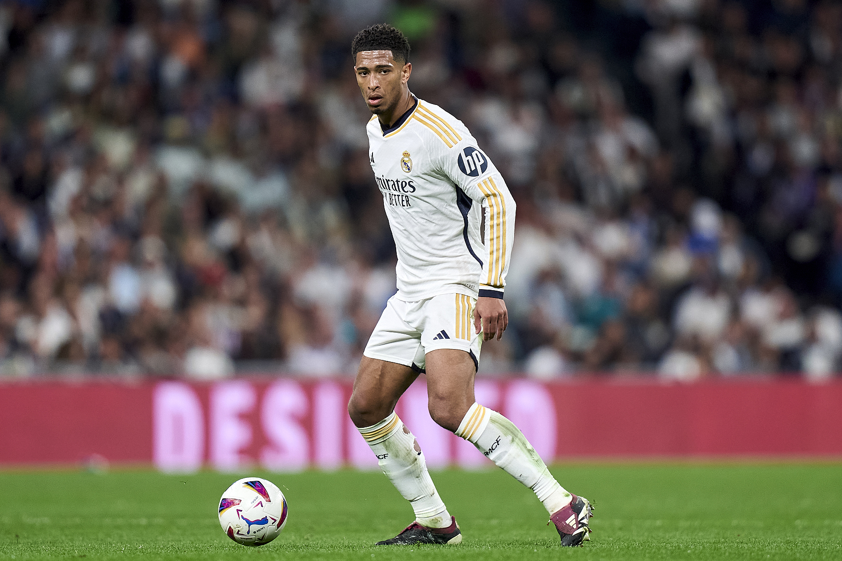 同时引进优 同时引进优